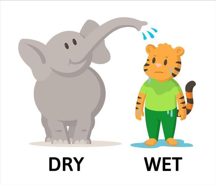 Elephant and tiger cartoon for humidity