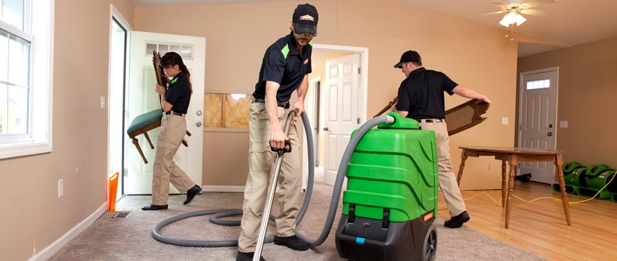 Everett, WA cleaning services
